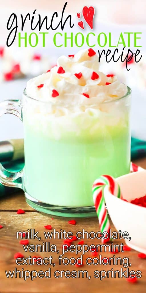 BEST GRINCH CHRISTMAS HOT CHOCOLATE