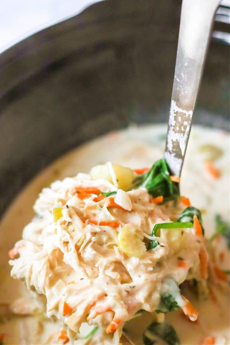CROCKPOT CHICKEN GNOCCHI SOUP
