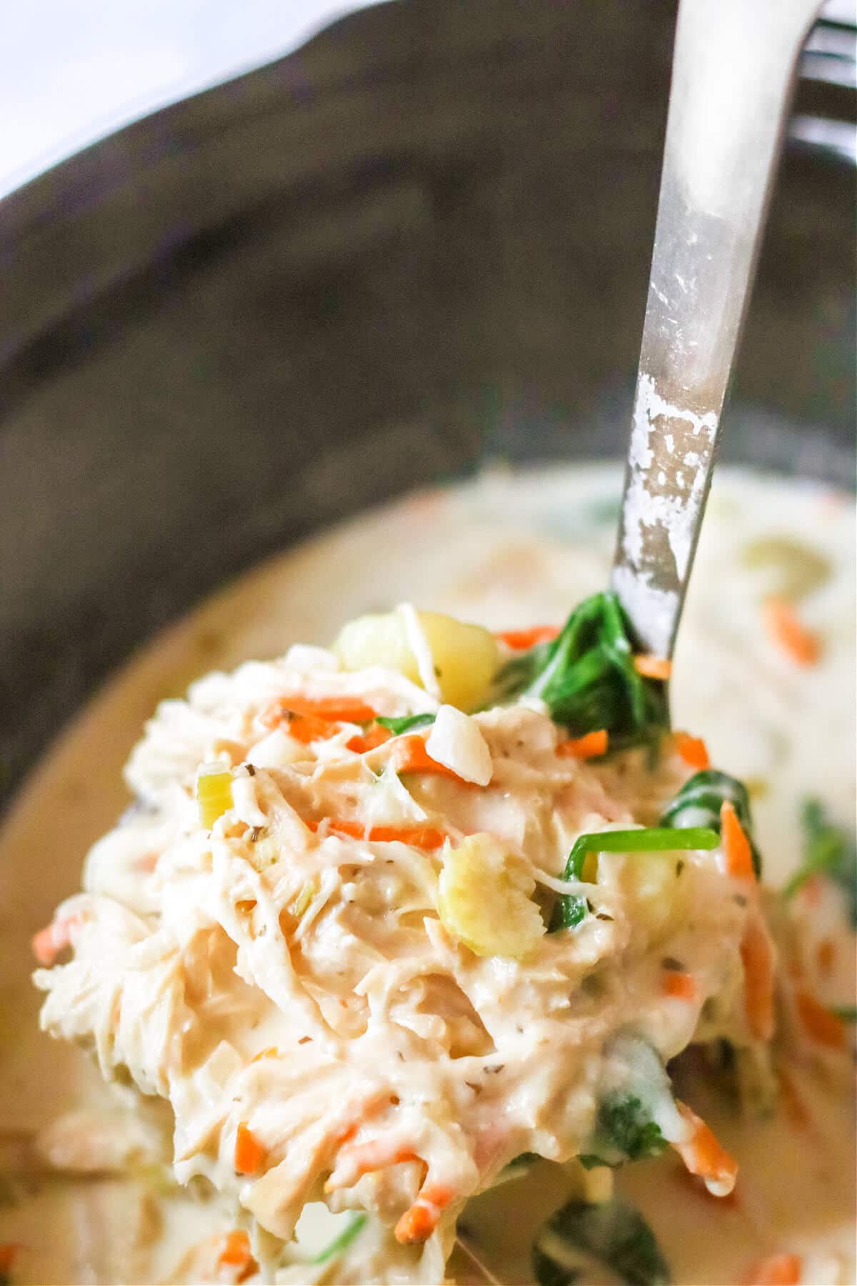 CROCKPOT CHICKEN GNOCCHI SOUP