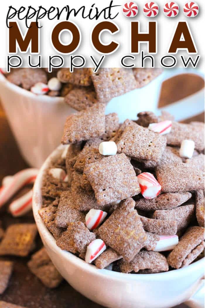 Peppermint Mocha Puppy Chow - Mama Loves Food