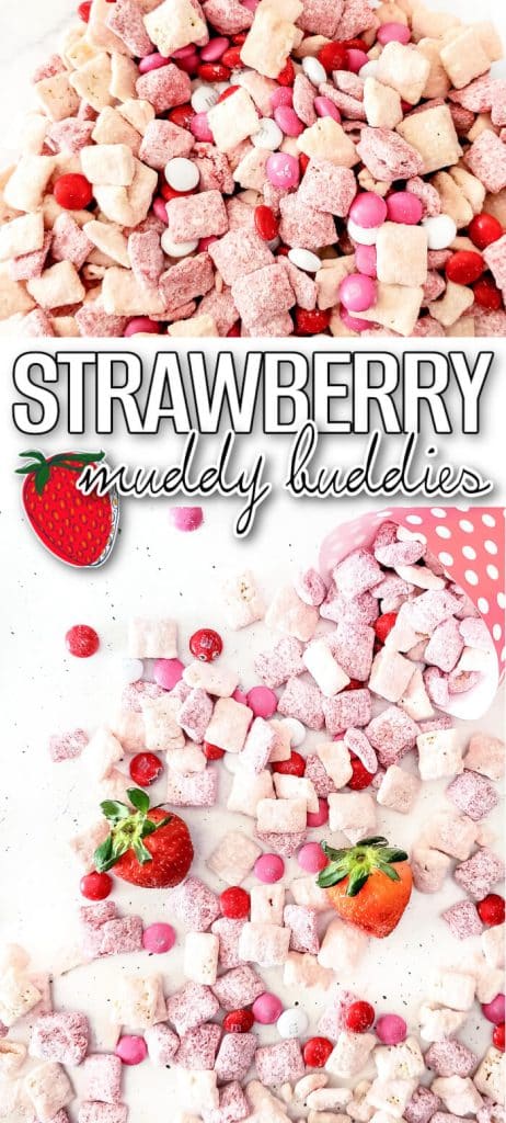 BEST STRAWBERRY MUDDY BUDDIES