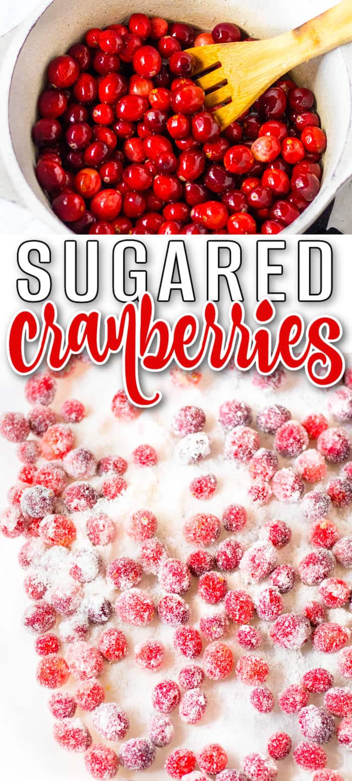 Sugared cranberries are incredibly easy to make, the perfect combo of sweet and tart and a beautiful garnish for your holiday recipes! BEST SUGARED CRANBERRIES