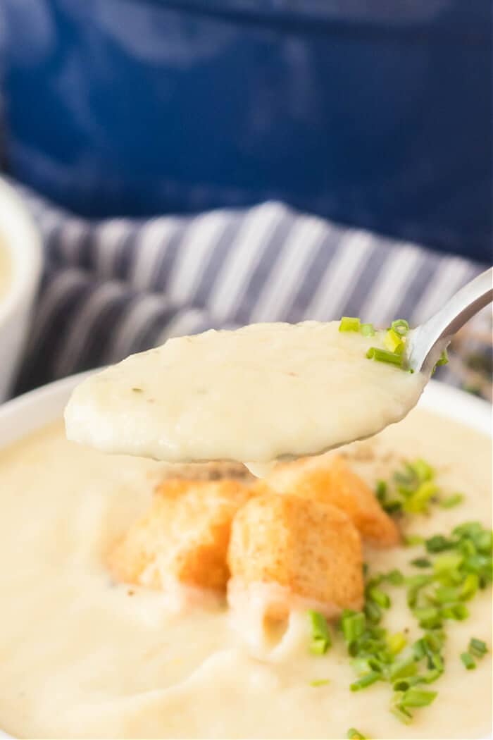 Potato leek soup is the perfect creamy soup for a cold winter day made with potatoes, leeks, chicken broth, heavy cream and fresh herbs. CREAMY LEEK AND POTATO SOUP