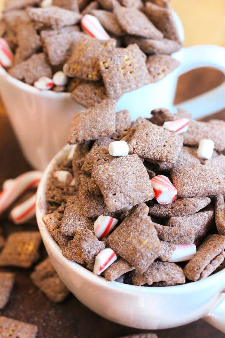 PEPPERMINT MOCHA PUPPY CHOW