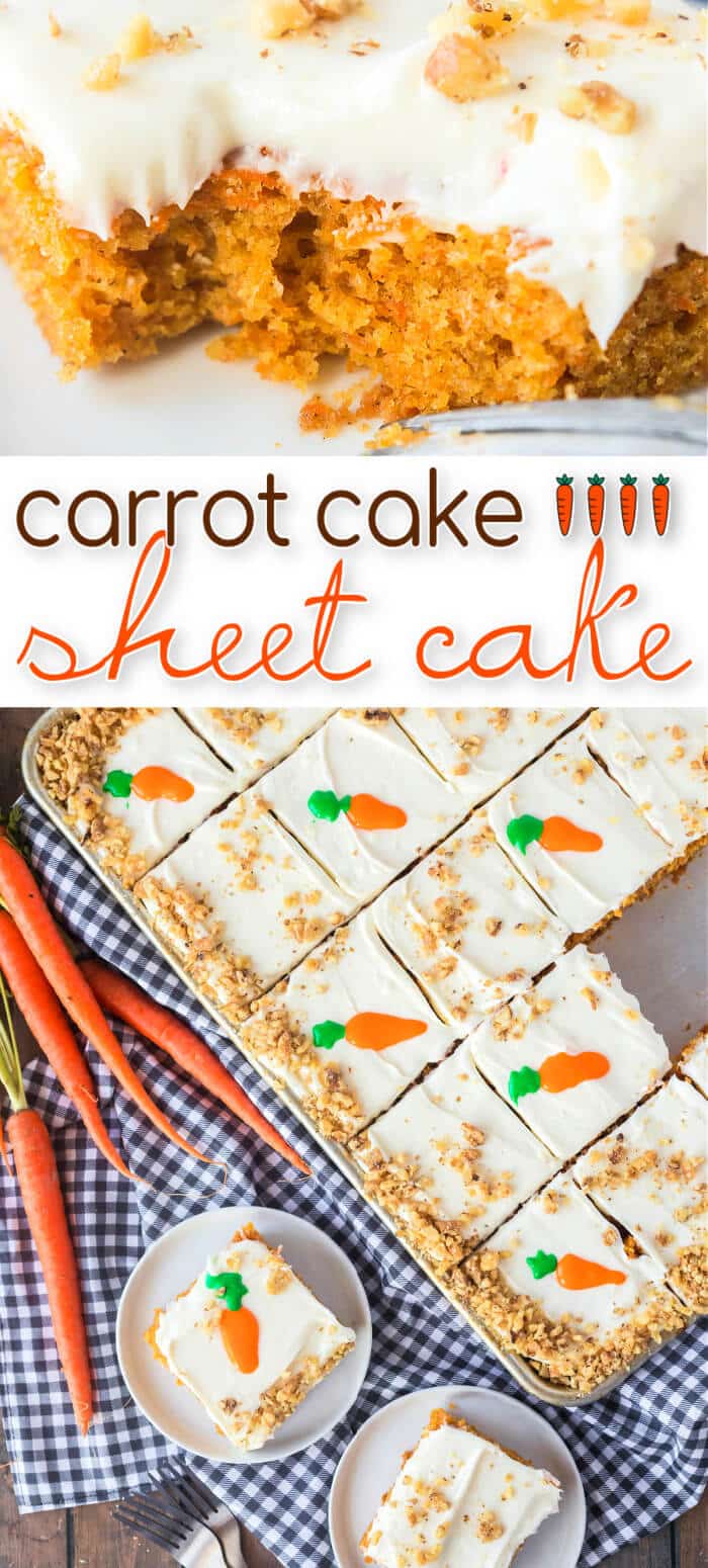 Carrot cake sheet cake is the perfect way to feed a crowd with a super moist homemade cake topped with cream cheese frosting and walnuts. BEST CARROT CAKE SHEET CAKE