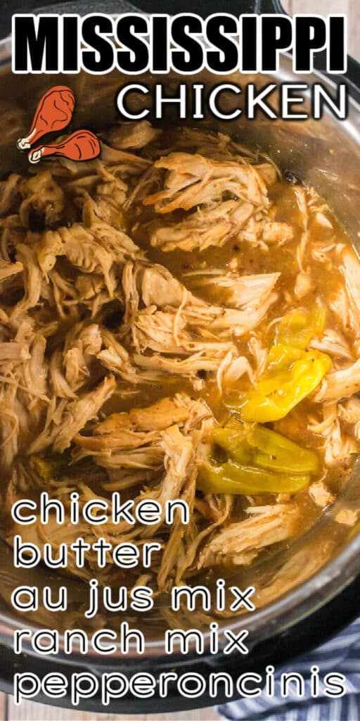 BEST MISSISSIPPI CHICKEN RECIPE
