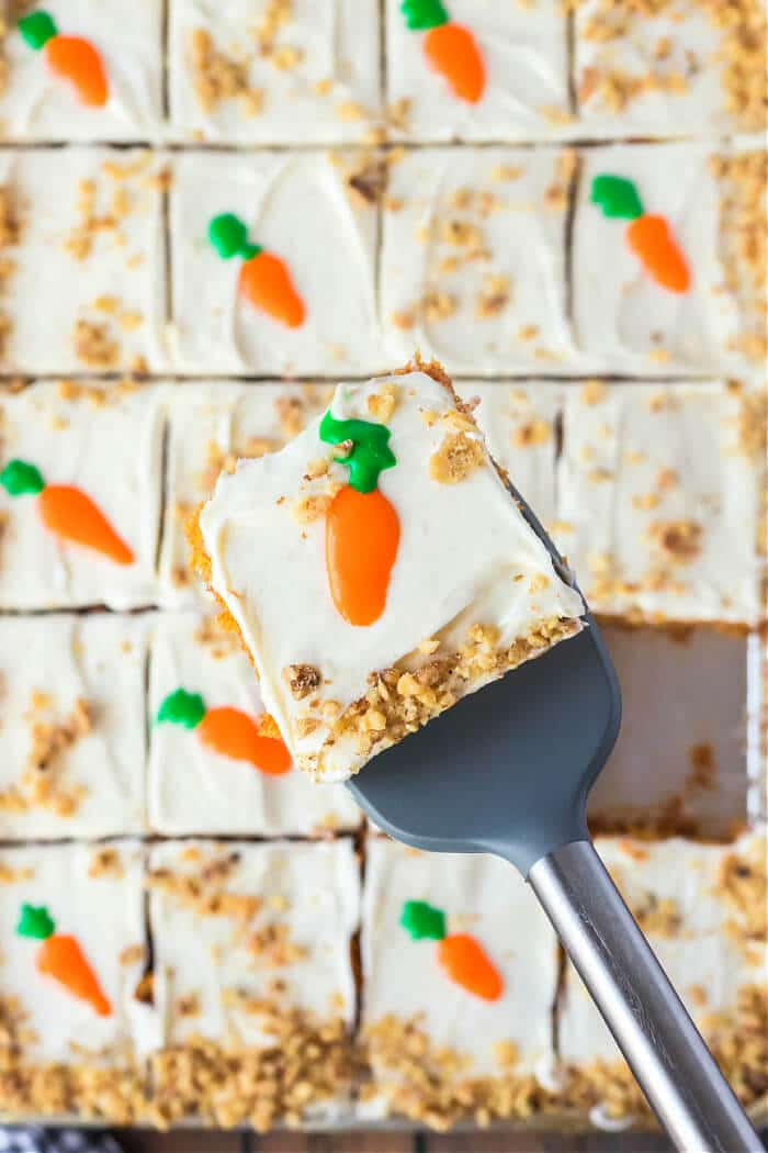 Carrot cake sheet cake is the perfect way to feed a crowd with a super moist homemade cake topped with cream cheese frosting and walnuts. CARROT SHEET CAKE