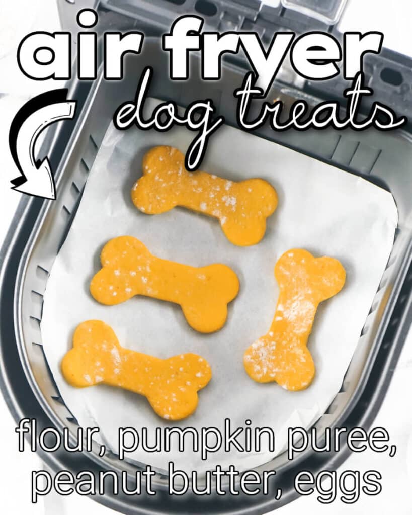 AIR FRYER DOG TREATS