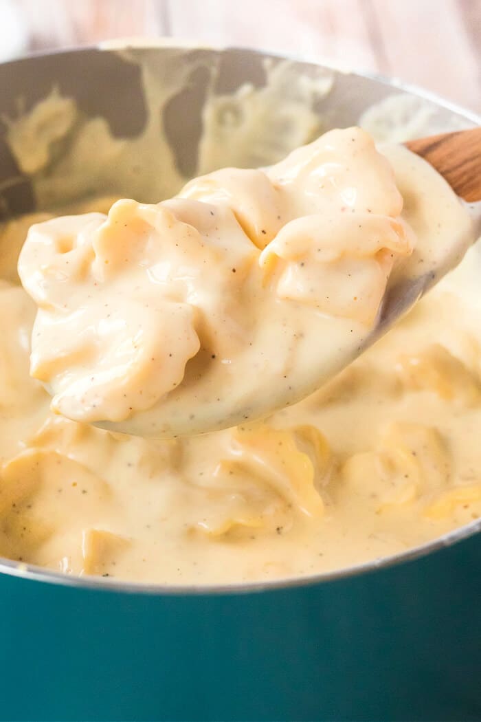 Tortellini alfredo is one of our favorite pasta dishes made with cheese tortellini and a creamy delicious homemade alfredo sauce! ALFREDO CHEESE TORTELLINI
