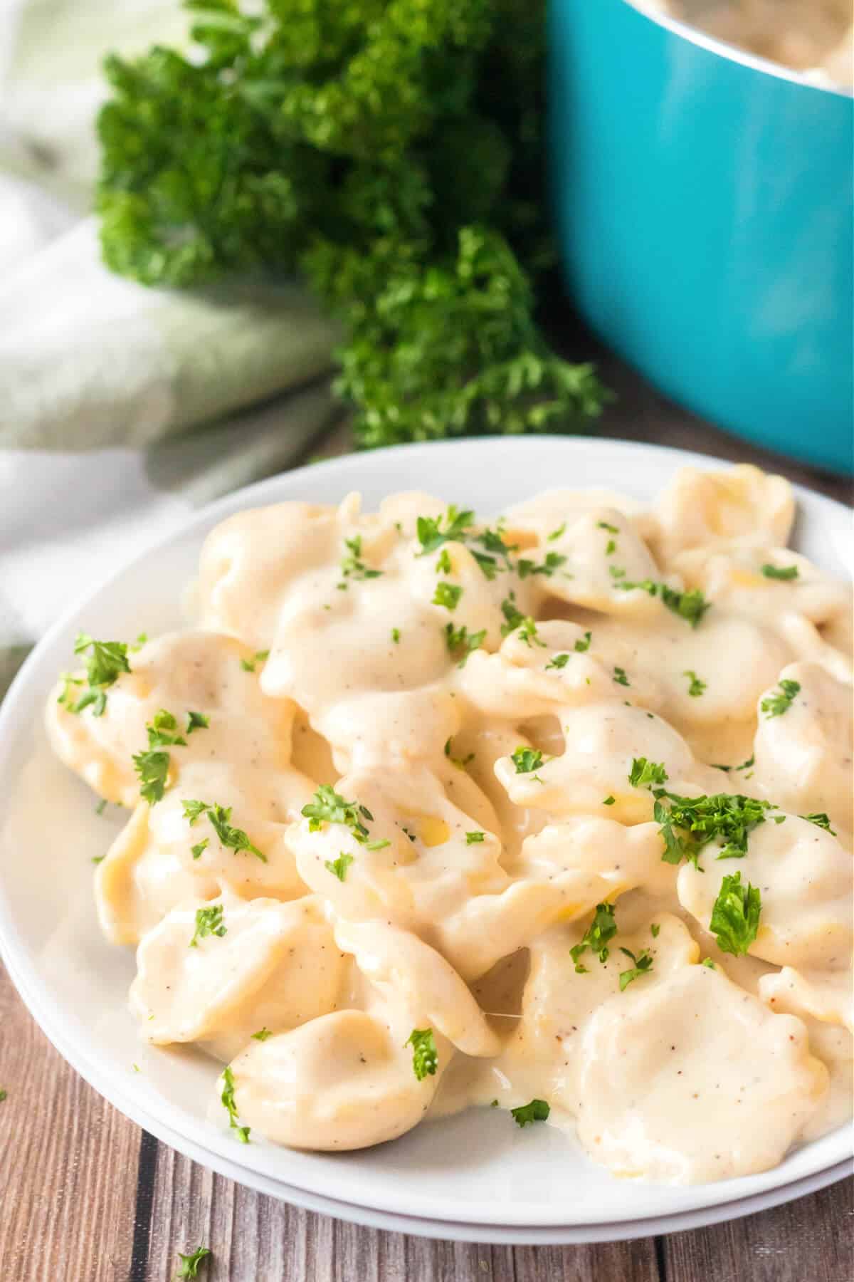 ALFREDO TORTELLINI