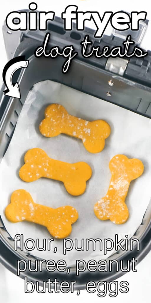 BEST AIR FRYER DOG TREATS RECIPE
