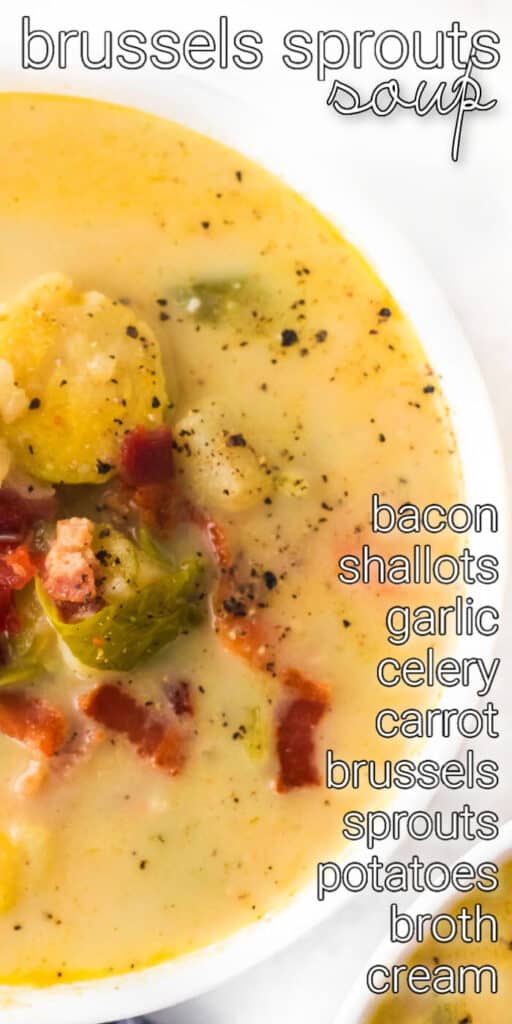BEST BRUSSELS SPROUTS SOUP RECIPE