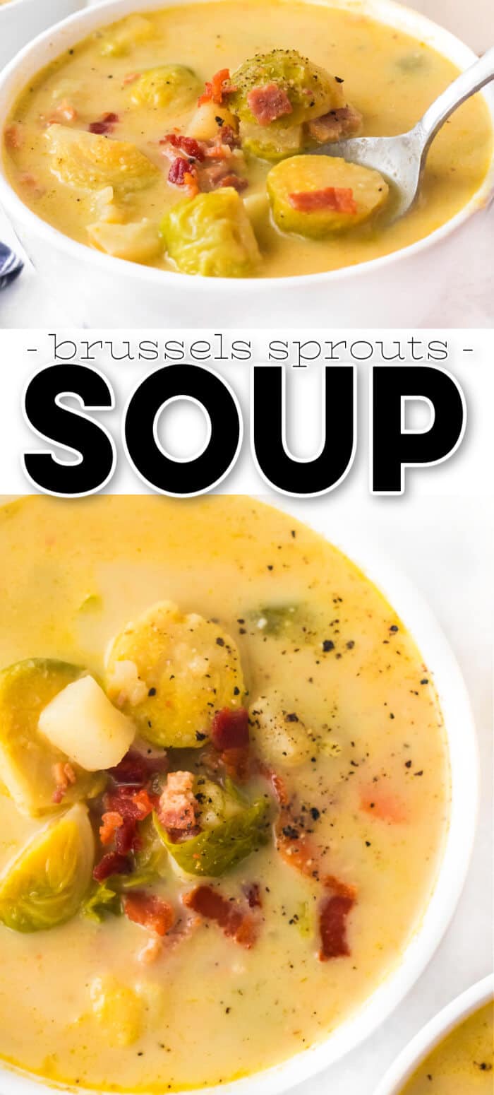 BEST BRUSSELS SPROUTS SOUP
