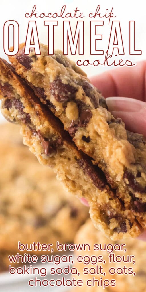 BEST CHOCOLATE CHIP AND OATMEAL COOKIE RECIPE