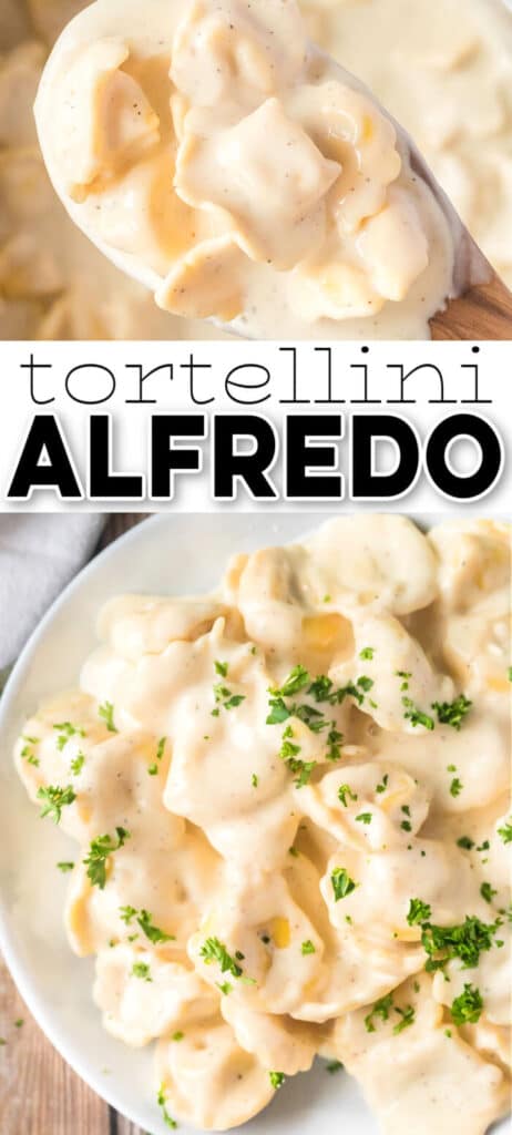 BEST TORTELLINI ALFREDO