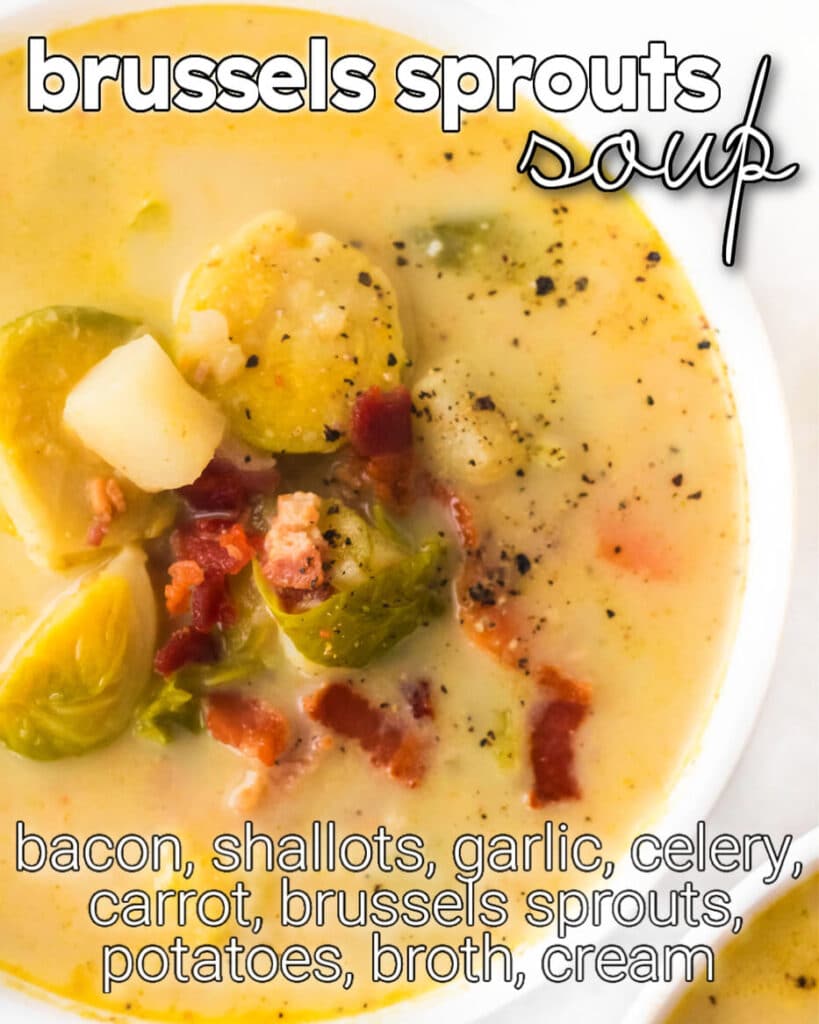 BRUSSELS SPROUTS SOUP