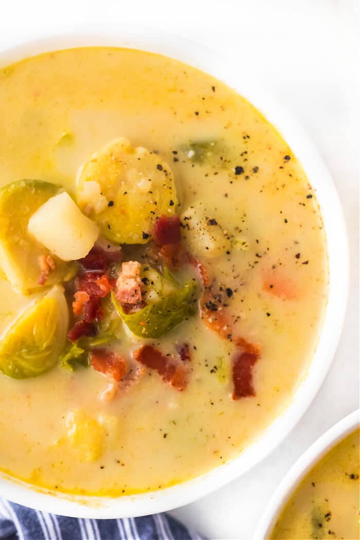 BRUSSELS SPROUTS SOUP RECIPE