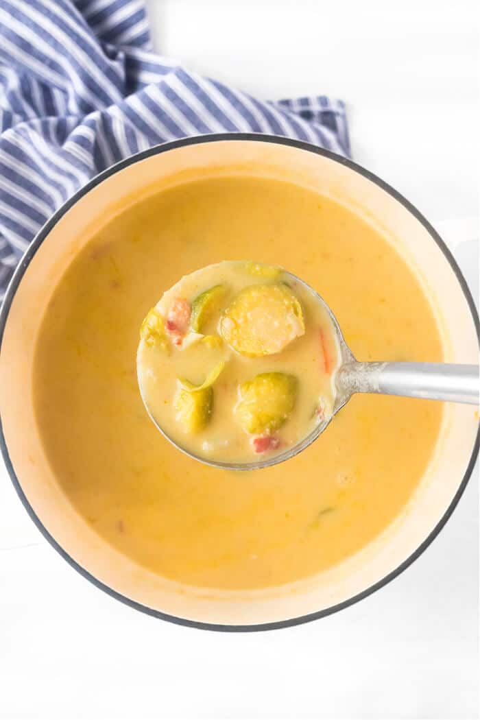 CREAMY BRUSSELS SPROUTS SOUP