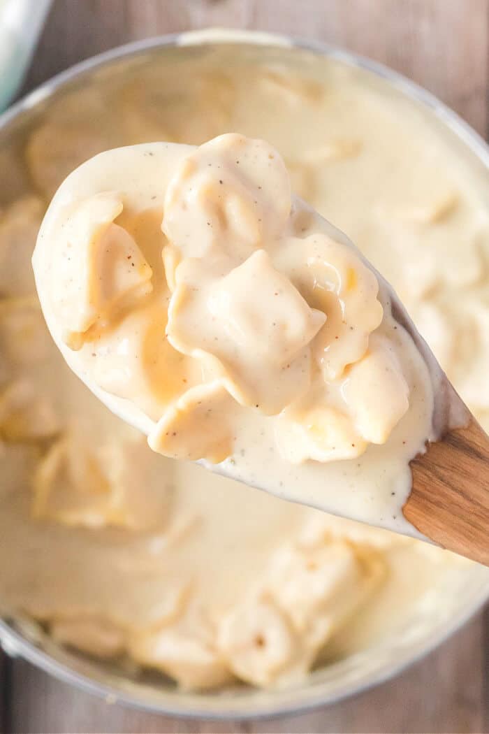 Tortellini alfredo is one of our favorite pasta dishes made with cheese tortellini and a creamy delicious homemade alfredo sauce! CREAMY TORTELLINI ALFREDO