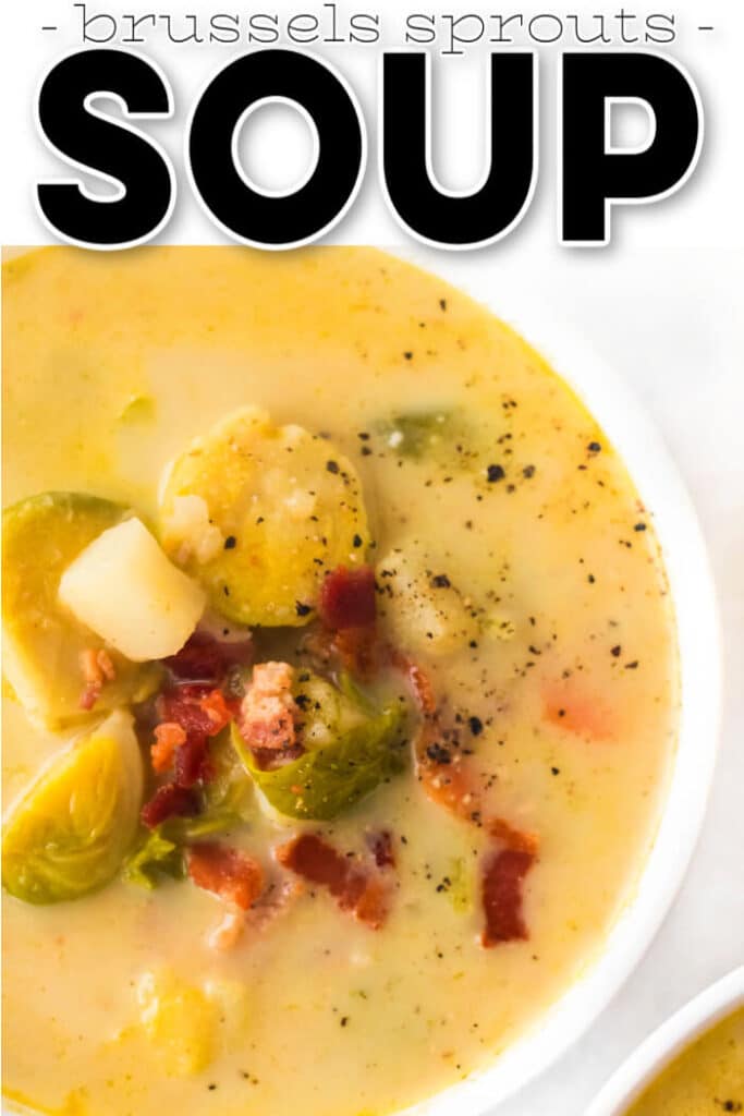 EASY BRUSSELS SPROUTS SOUP