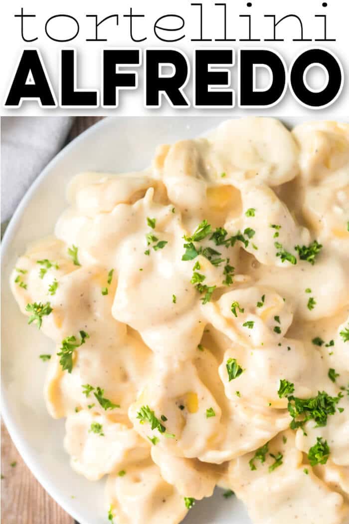 Tortellini alfredo is one of our favorite pasta dishes made with cheese tortellini and a creamy delicious homemade alfredo sauce! EASY TORTELLINI ALFREDO