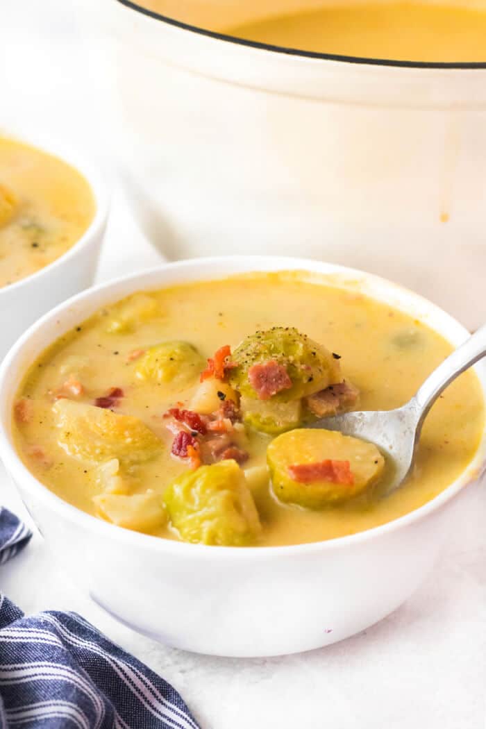 RECIPE FOR BRUSSELS SPROUTS SOUP
