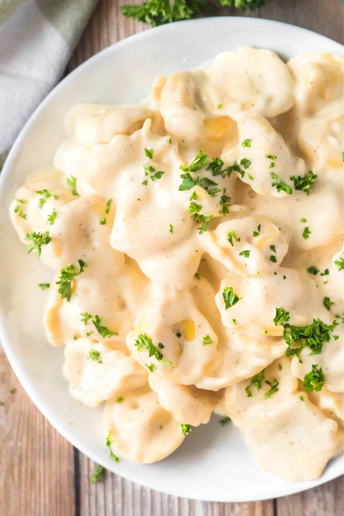 TORTELLINI ALFREDO