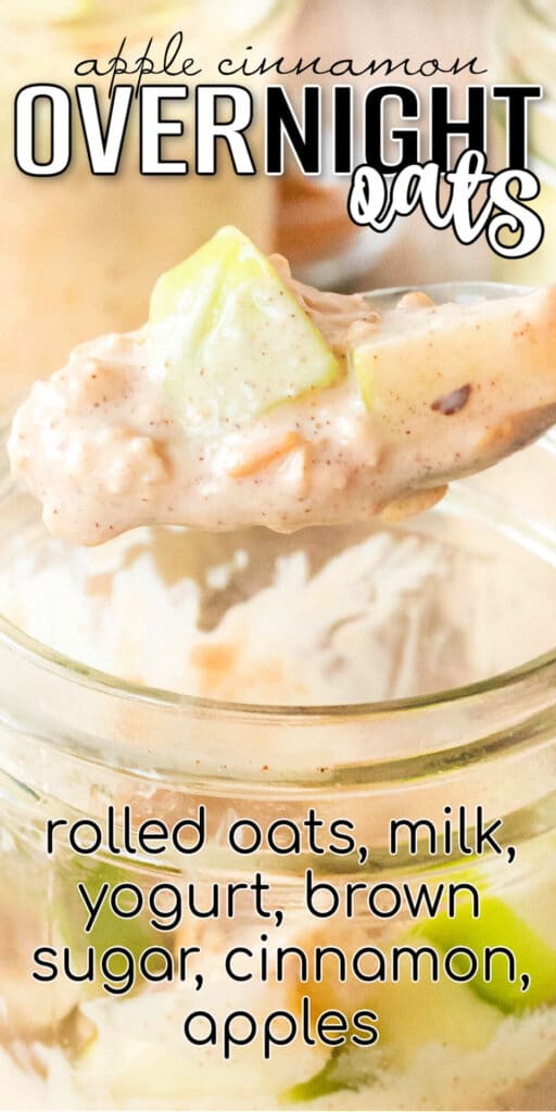 BEST APPLE CINNAMON OVERNIGHT OATS RECIPE