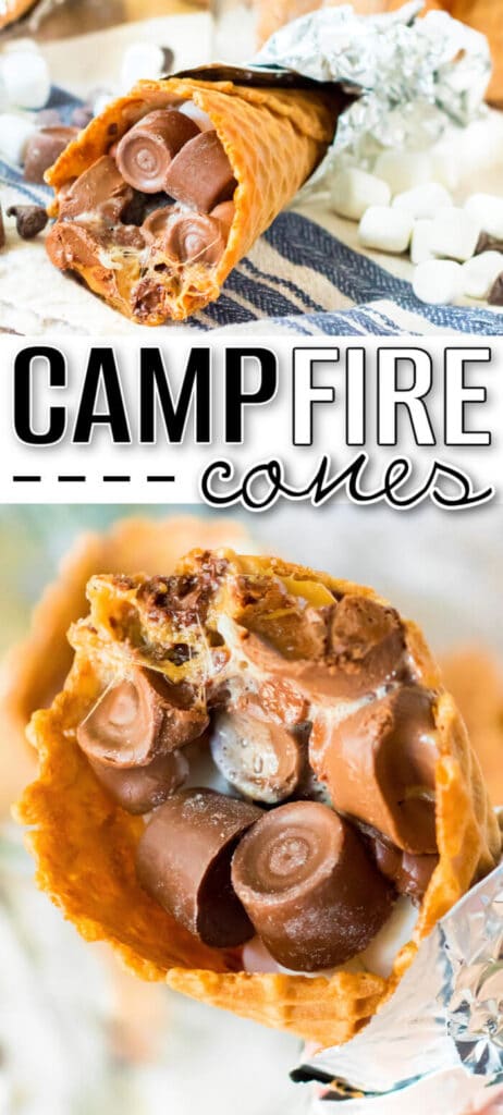 BEST CAMPFIRE CONES