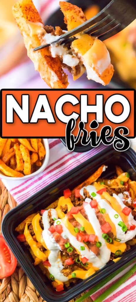 BEST NACHO FRIES