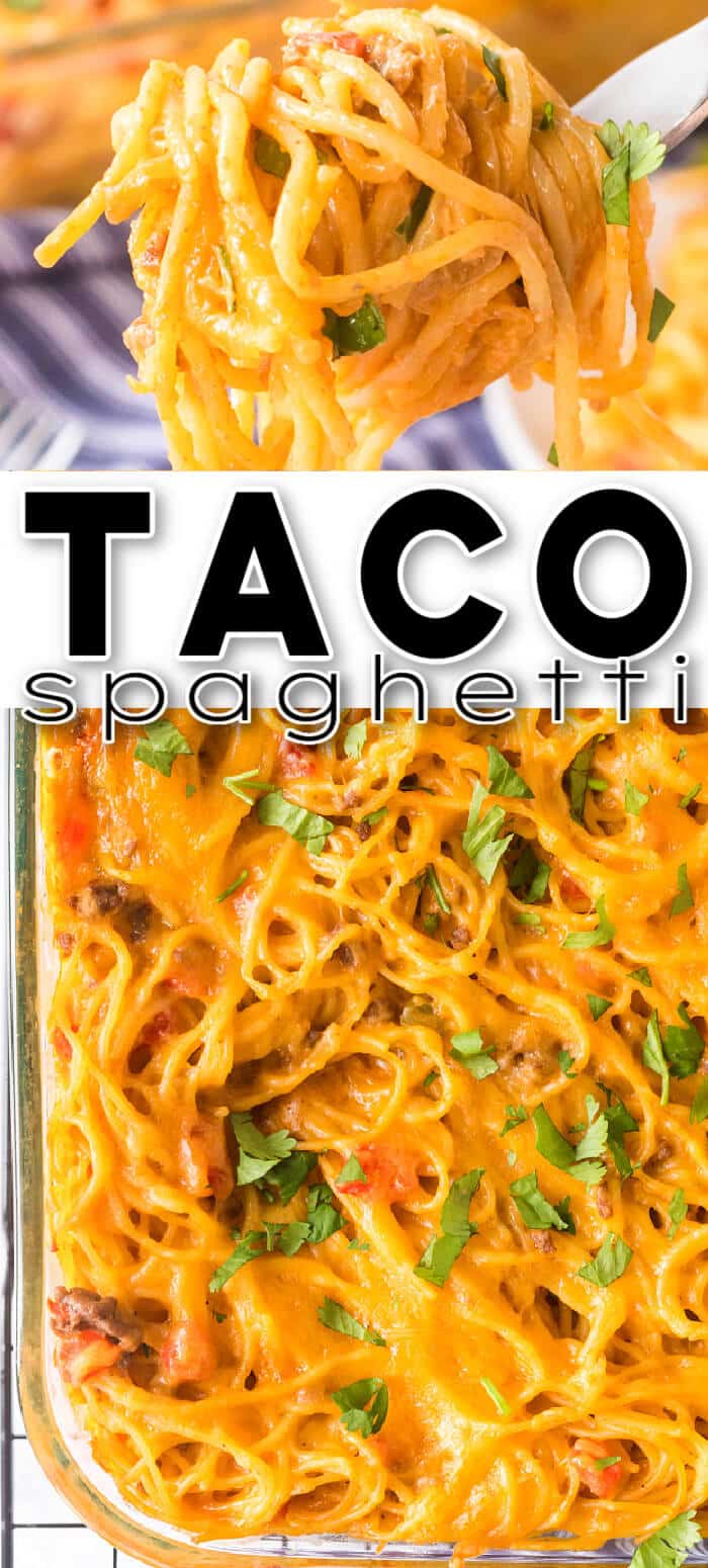 BEST TACO SPAGHETTI
