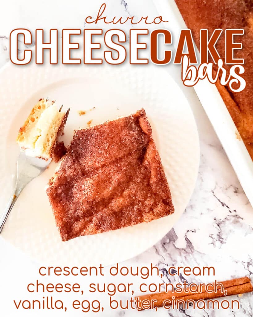 CHURRO CHEESECAKE BARS