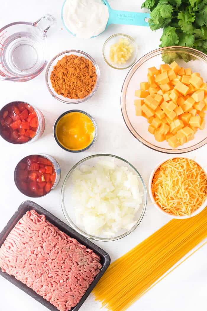INGREDIENTS FOR TACO SPAGHETTI