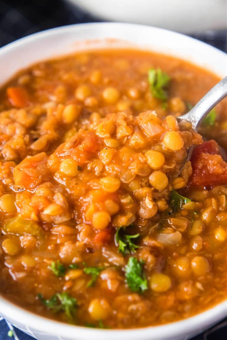 LENTIL SOUP