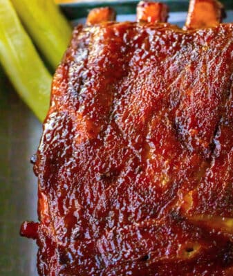 SLOW COOKER RIBS