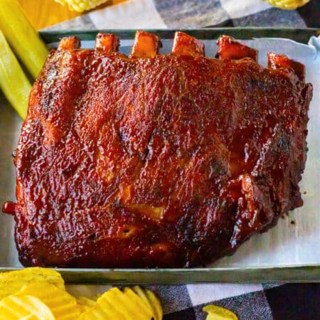 SLOW COOKER RIBS RECIPE