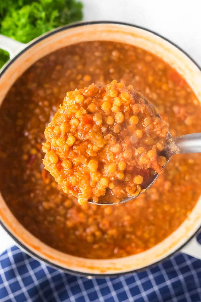 Lentil soup is a flavorful dish made with lentils, celery, carrots, onion, garlic & seasonings for a delicious bowl of soup for a cozy night. SOUP WITH LENTILS