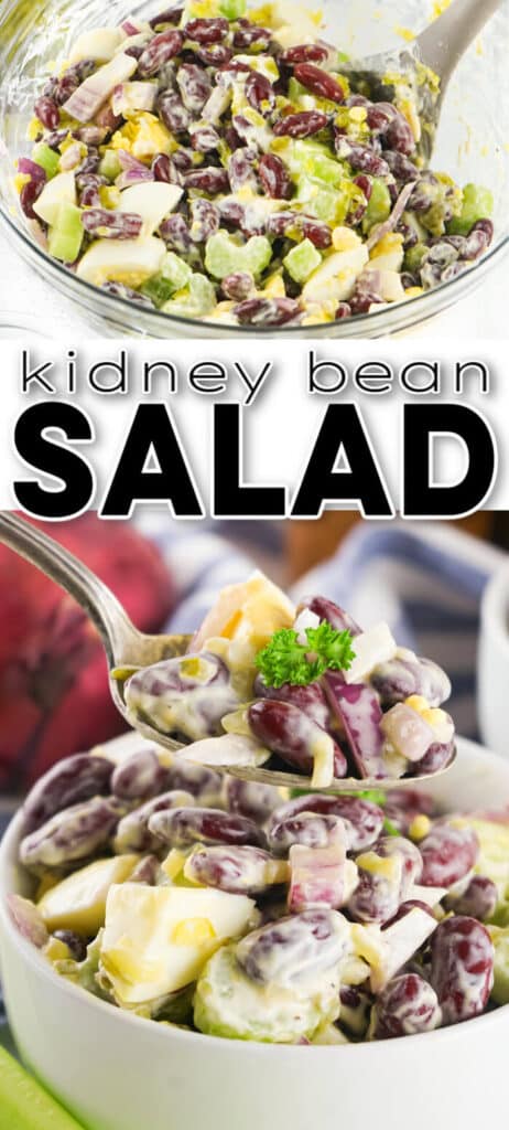 BEST KIDNEY BEAN SALAD