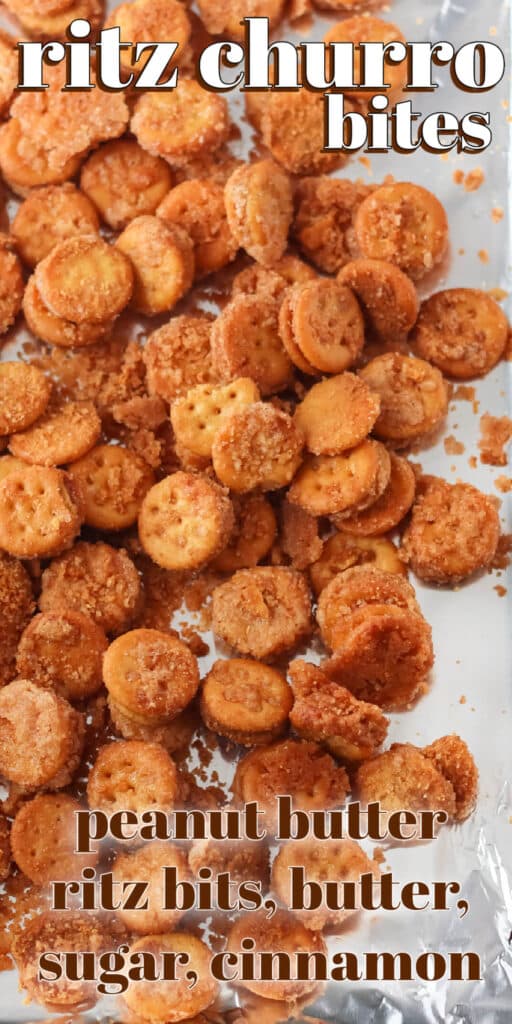 BEST RITZ CHURRO BITES RECIPE