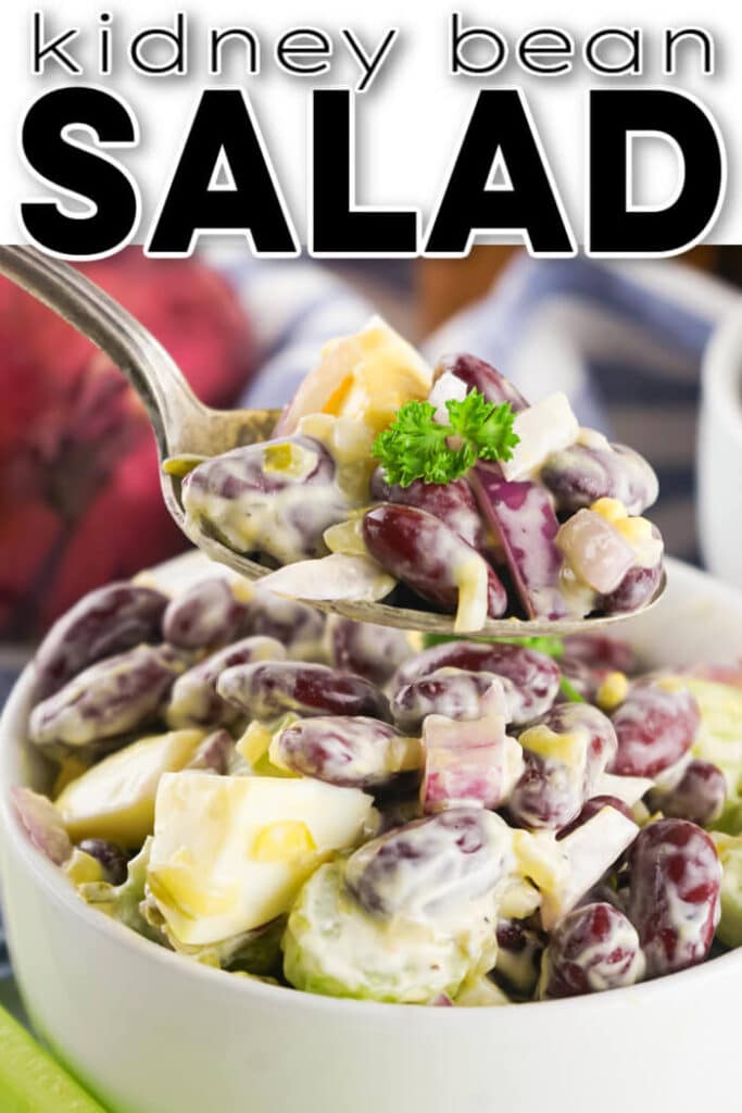 EASY KIDNEY BEAN SALAD