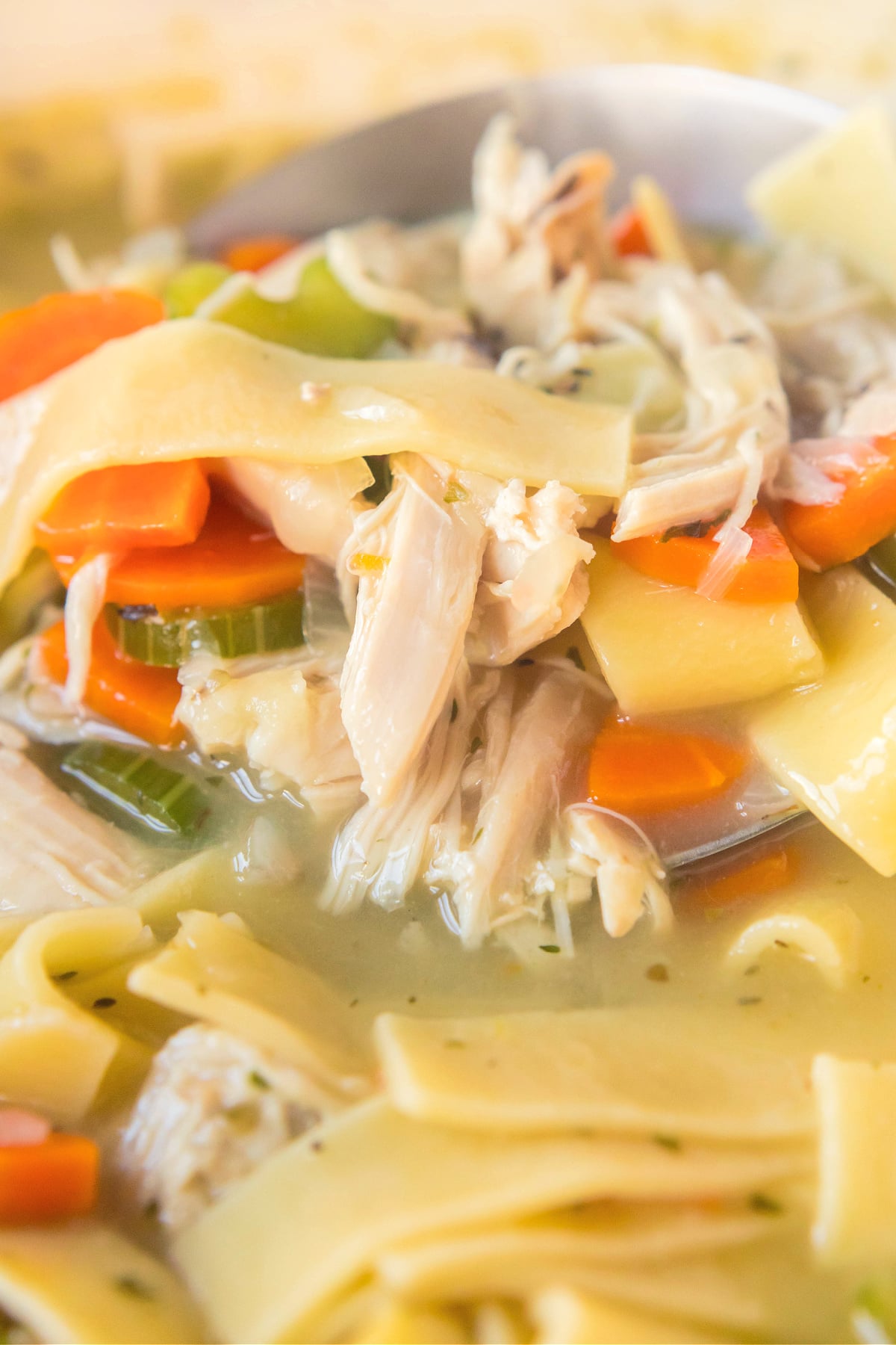 CHICKEN NOODLE SOUP USING ROTISSERIE CHICKEN