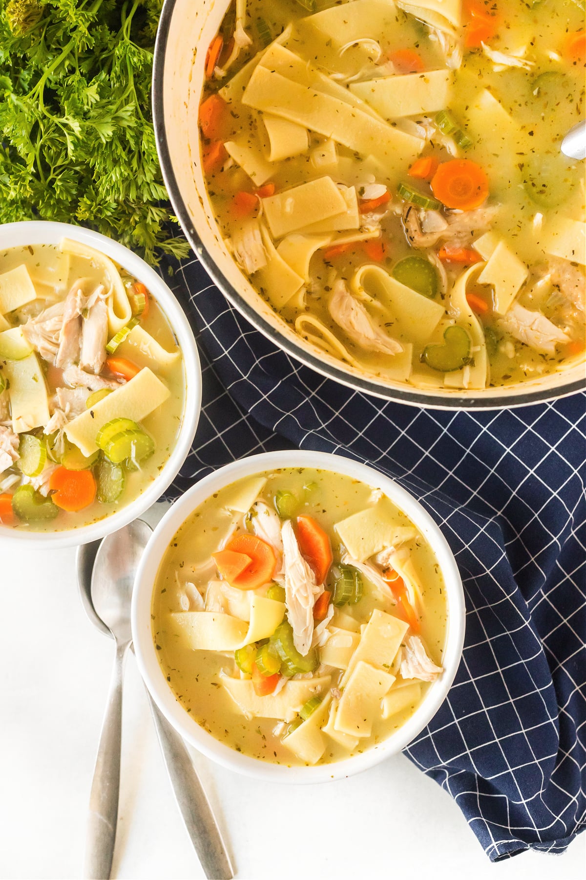 ROTISSERIE CHICKEN NOODLE SOUP RECIPE