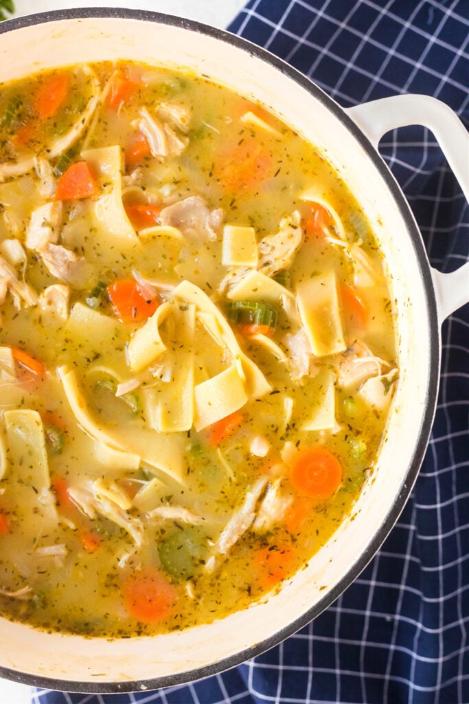 ROTISSERIE CHICKEN SOUP