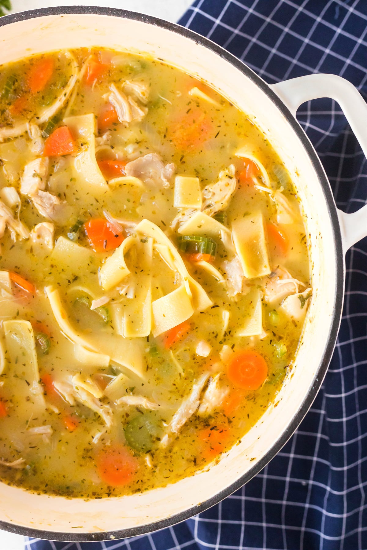 ROTISSERIE CHICKEN SOUP
