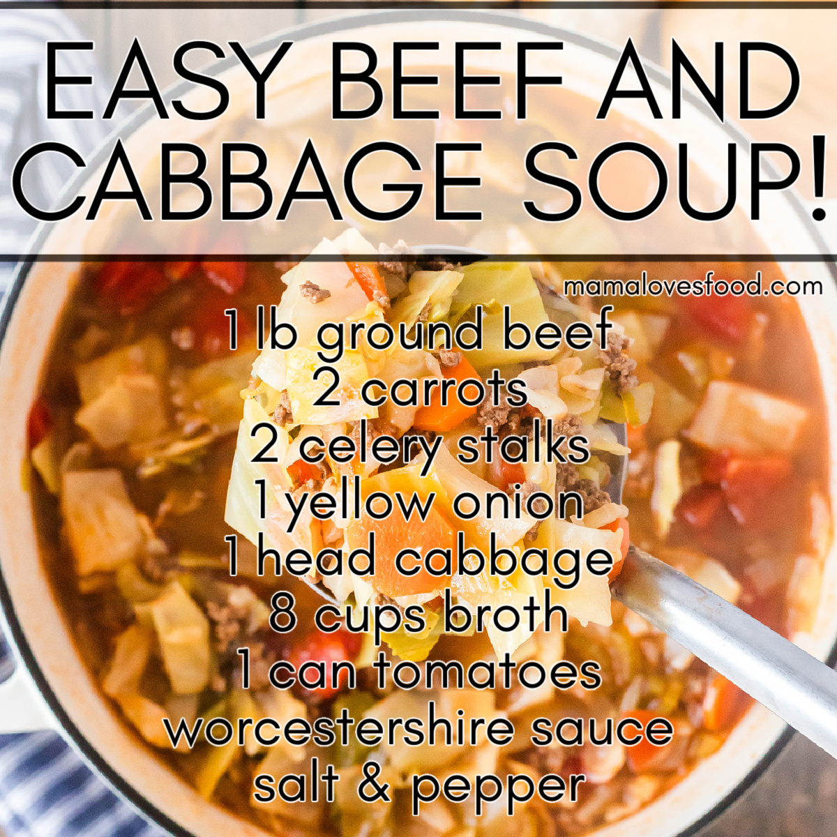 BEST BEEF AND CABBAGE SOUP