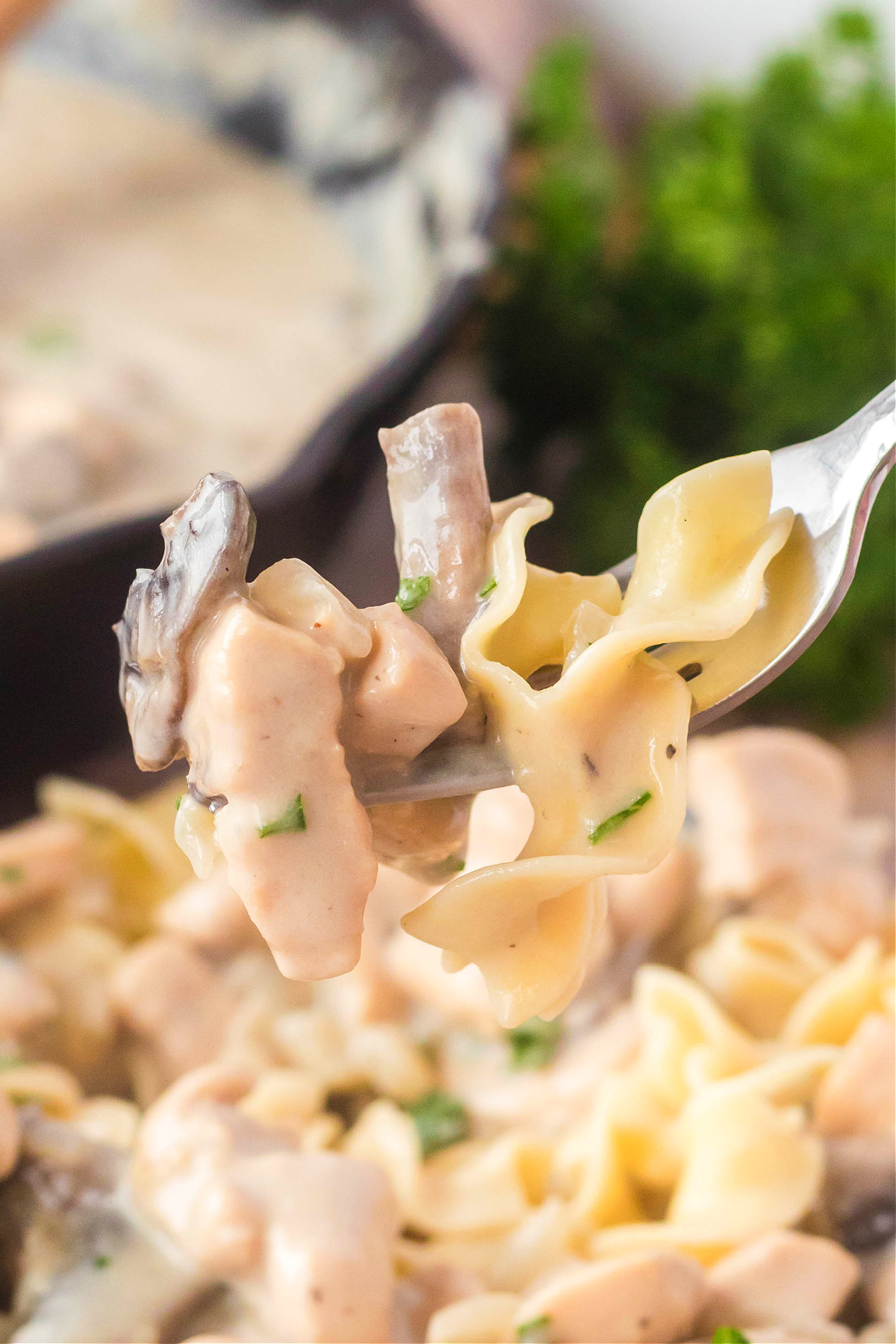 CHICKEN AND MUSHROOM STROGANOFF