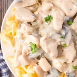 CHICKEN MUSHROOM STROGANOFF