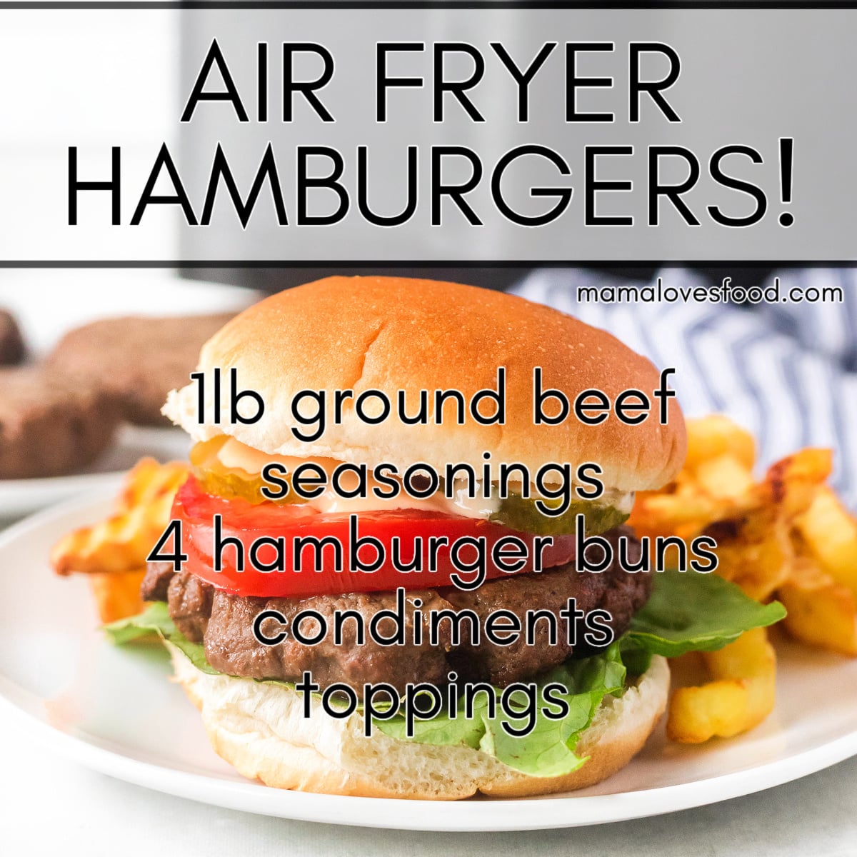HOMEMADE AIR FRYER HAMBURGERS