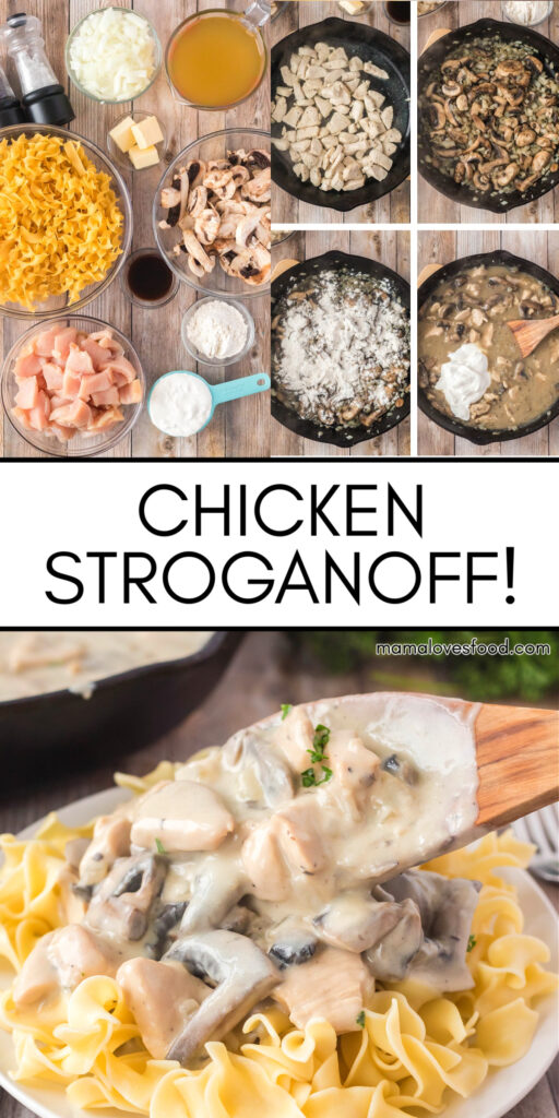 RECIPE CHICKEN STROGANOFF