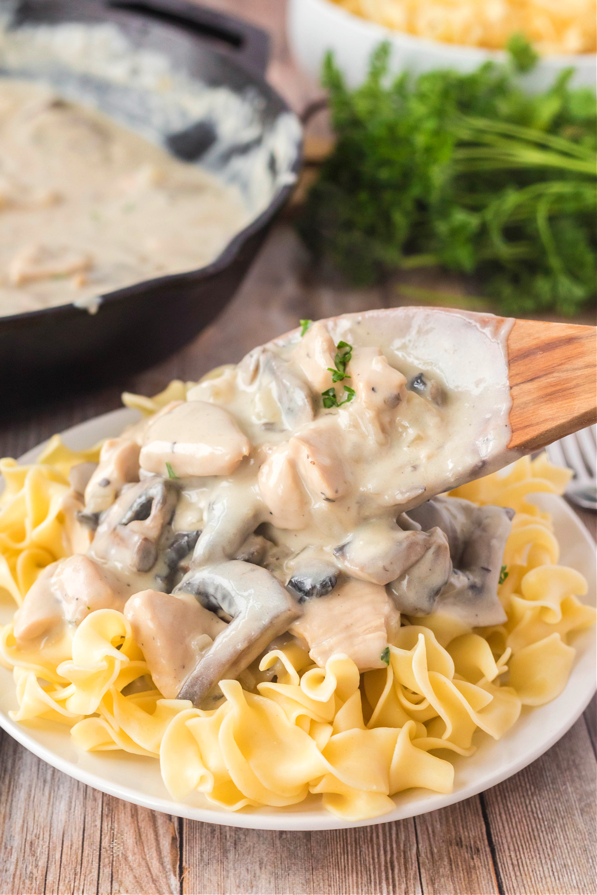 RECIPE OF CHICKEN STROGANOFF